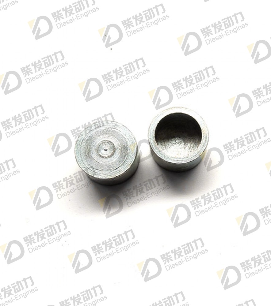 Valve cap 477449 